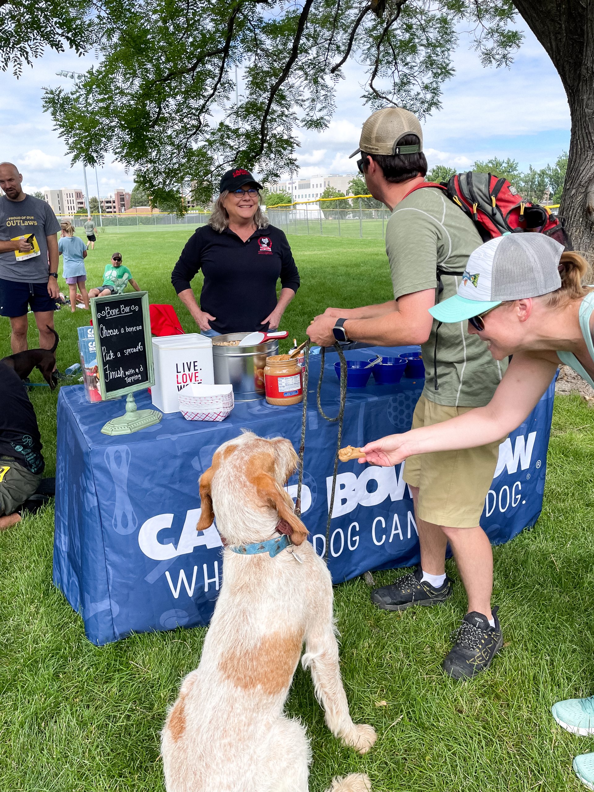 Dog waiting for a treat at the Camp Bow Wow booth